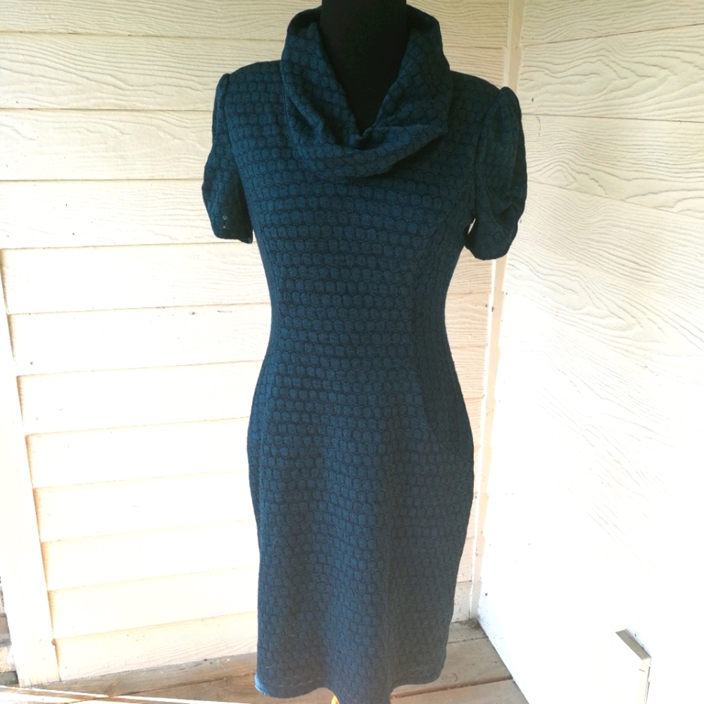 Evan picone dress